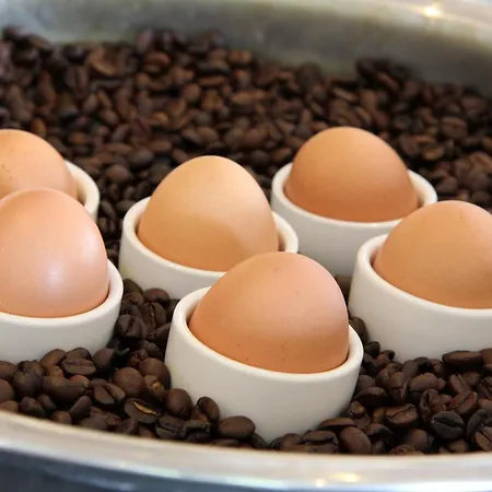 Bastion Hotell Roosendaal