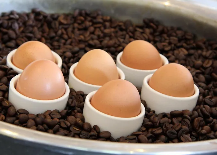 Bastion Hotel Roosendaal